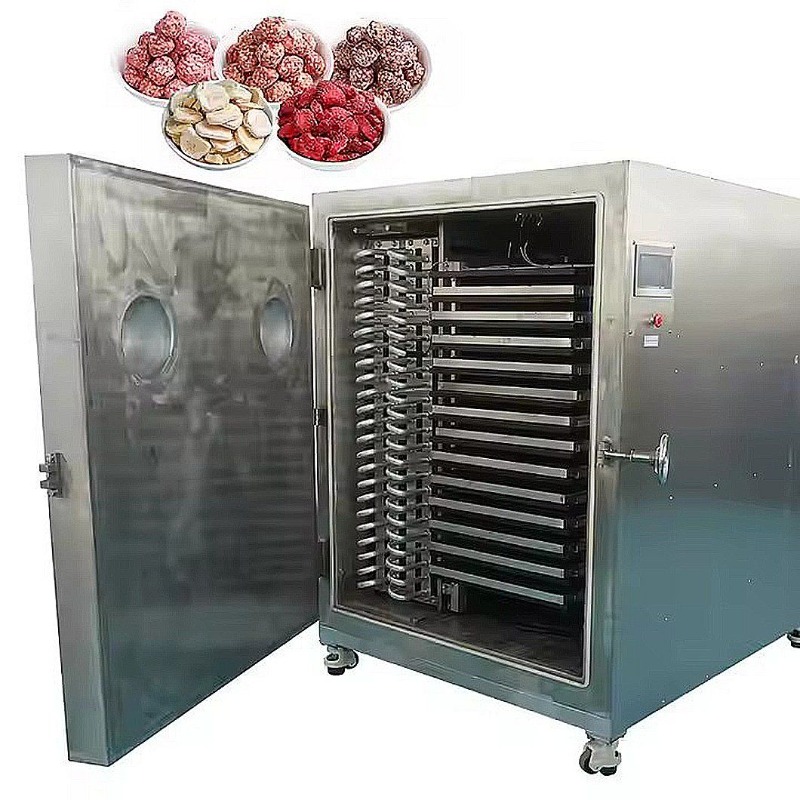Food Storage Long Term - CE-Zertifizierter Gefriertrockner für Gemüse, Milchprodukte und