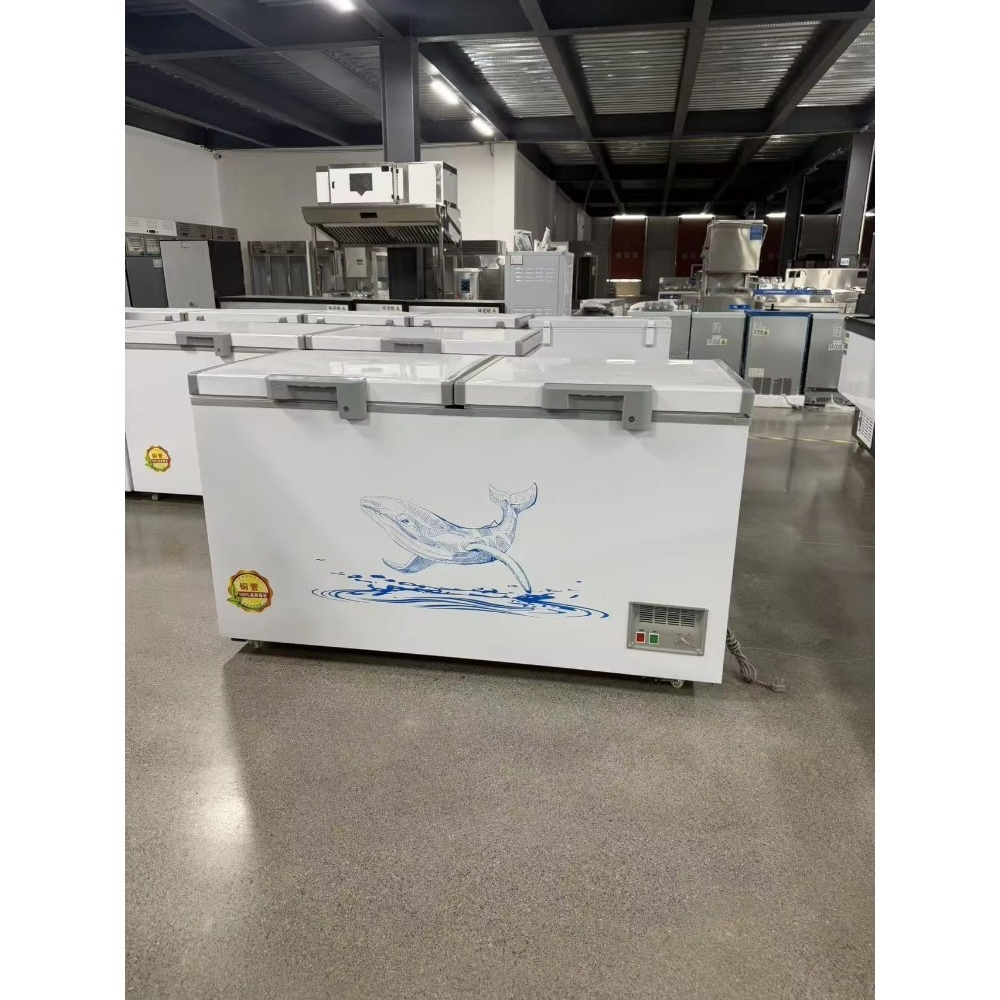 Großhandel Maßgefertigte Horiz – Food Storage Freezer Bewertung und Preis